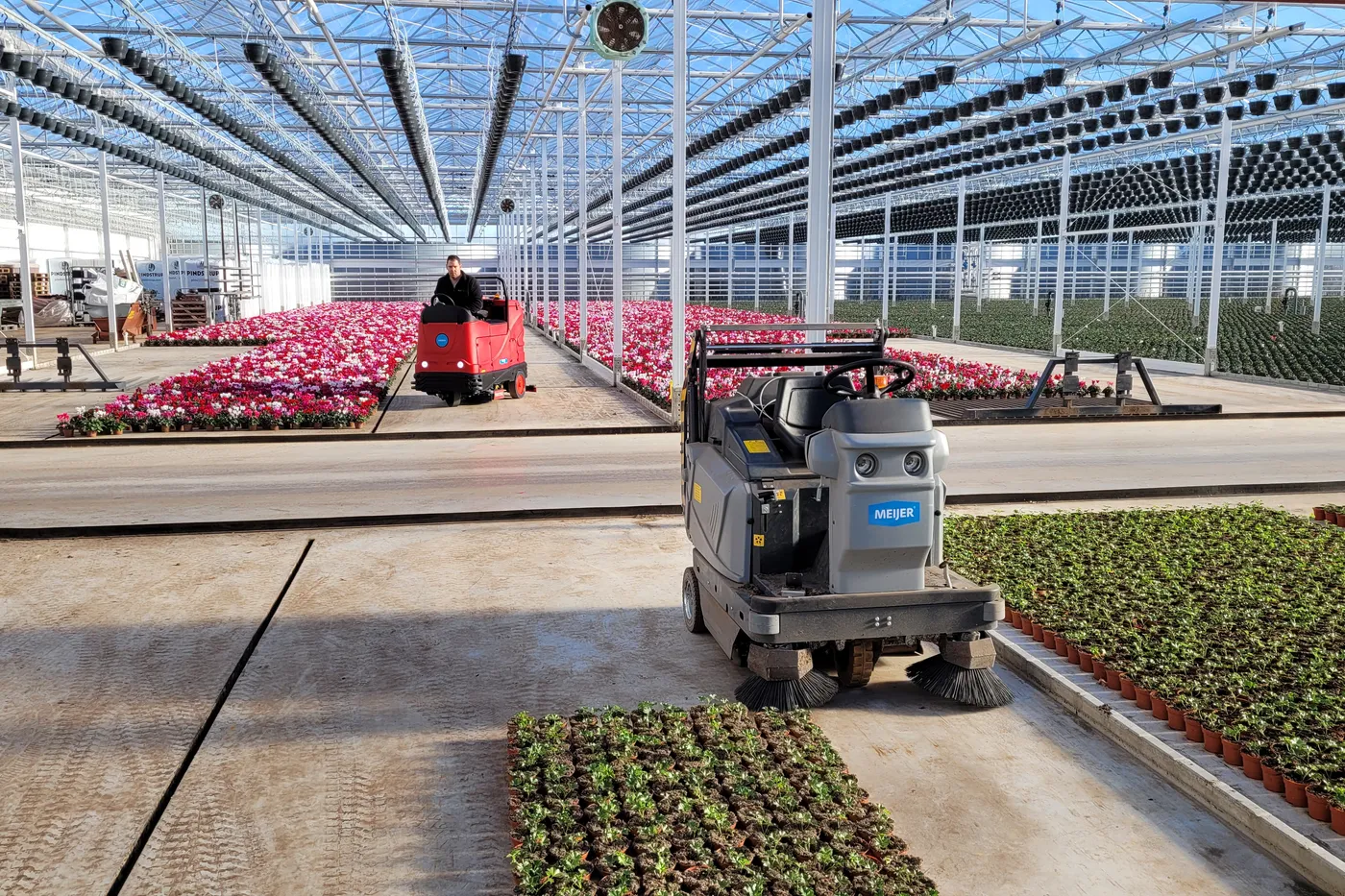 Meijer zitveegmachine op het middenpad van een kas met bloeiende planten