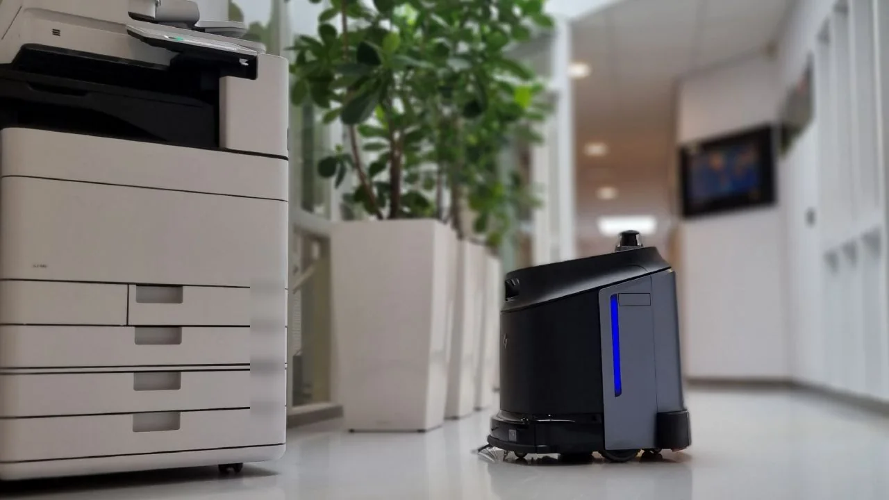 Phantas op een kantoorgang, naast een plantenbak bij de printer