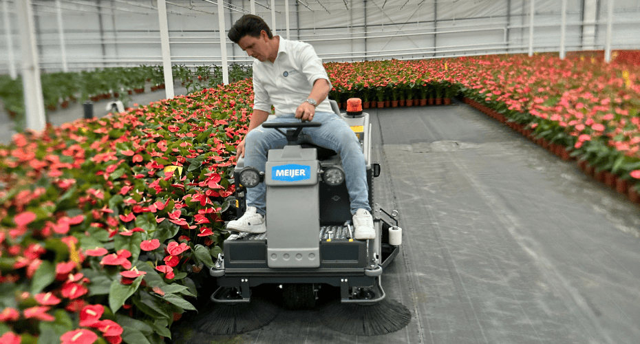 clean and dust-free sweeping